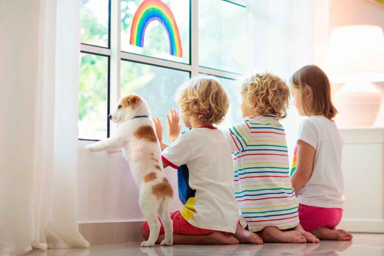 historias del confinamiento y desconfinamiento