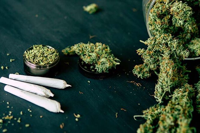 consumo-de-cannabis