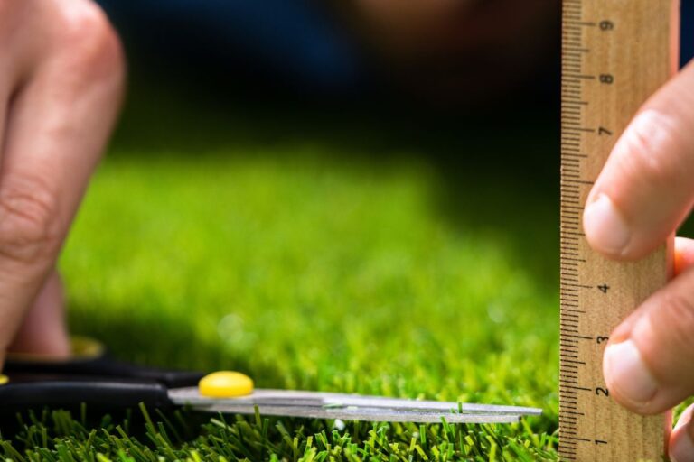 De la obsesión cotidiana al Trastorno Obsesivo Compulsivo (TOC)-APS